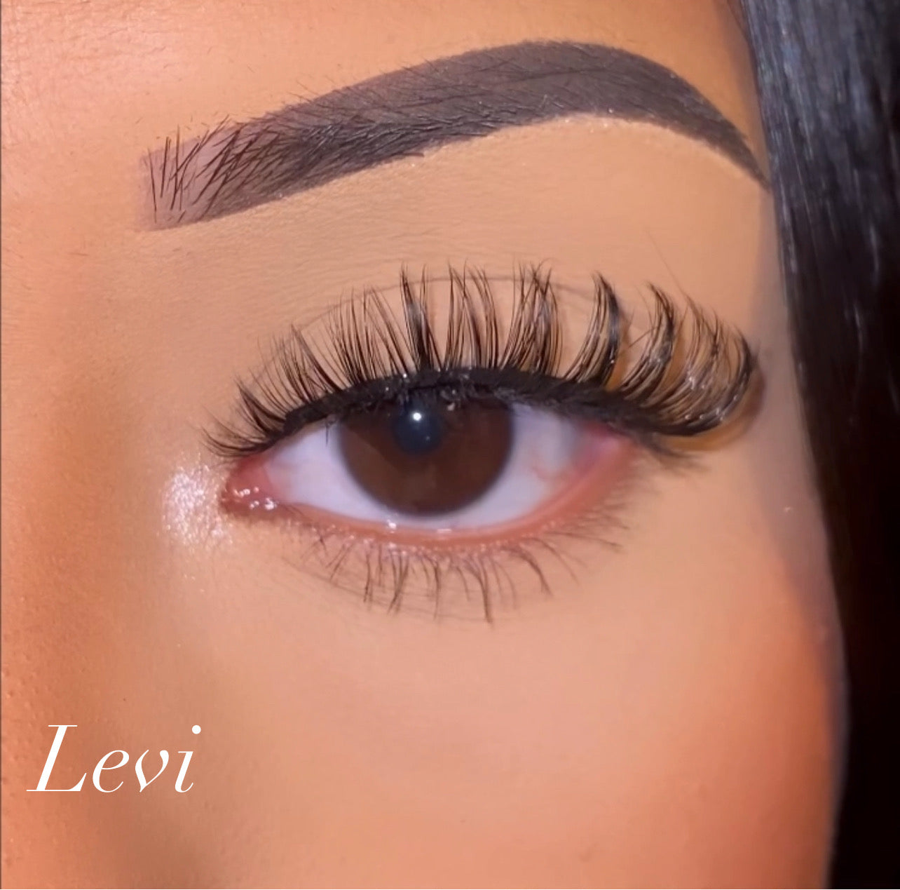 Levi